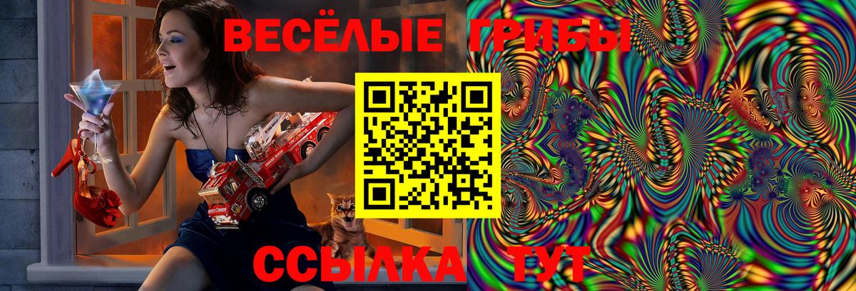 Галлюциногенные грибы Psilocybine cubensis Заринск