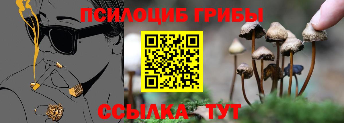 Галлюциногенные грибы GOLDEN TEACHER  купить  сайты  Заринск  Вход с VPN 